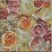 Декор Colorker Nova Pavimento Rosas
